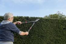 Obrázek k výrobku 16003 - Nůžky na živý plot Teleskopické