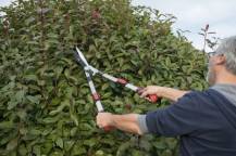 Obrázek k výrobku 16007 - Nůžky na živý plot Teleskopické POWER² převodové