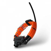 Obrázek k výrobku 75893 - Obojek pro dalšího psa DOG GPS X30TB - Oranžová
