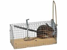 Obrázek k výrobku 81702 - Past na myši a hraboše GAUN 32620 5,5x12x5,5 cm