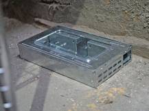 Obrázek k výrobku 81704 - Past na myši domečková AGF obdélníková, s průhledným krytem