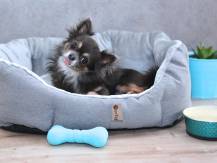 Obrázek k výrobku 72279 - PELÍŠEK Alík - 50 cm