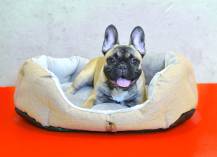 Obrázek k výrobku 72276 - PELÍŠEK Ben - 65 cm