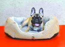 Obrázek k výrobku 72276 - PELÍŠEK Ben - 65 cm