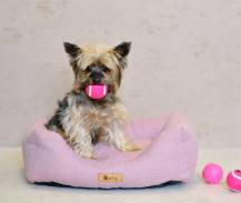 Obrázek k výrobku 72618 - Pelíšek CONNIE 55 cm