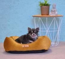 Obrázek k výrobku 72609 - Pelíšek ROYAL 55 cm / ZLATÁ