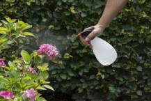 Obrázek k výrobku 16051 - Postřikovač 1L