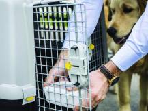 Obrázek k výrobku 81471 - Přepravní box pro zvířata STEFANPLAST GULLIVER TOURING, 80x58,5x62 cm