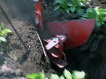 Proorávání brambor