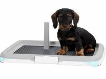 Obrázek k výrobku 87428 - Psí záchod STEFANPLAST PUPPY, 60x40cm