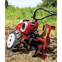 Obrázek k výrobku 48645 - PUBERT Q JUNIOR 60H