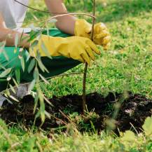Obrázek k výrobku 76419 - Půdní vrták Scheppach EB 2000 + 2 vrtáky