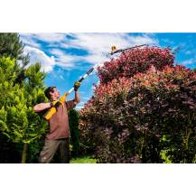 Obrázek k výrobku 39845 - Riwall PRO RAPH 5240 - plotostřih s dlouhým dosahem a aku motorem 40 V