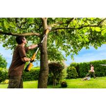 Obrázek k výrobku 39863 - Riwall PRO RAPS 2040 - prořezávací pila s aku motorem 40 V