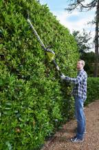 Obrázek k výrobku 41208 - Ryobi OPT1845 - aku 18V plotostřih s prodlouženou rukojetí ONE+