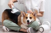 Obrázek k výrobku 79417 - Sada na stříhání a péči o srst s vysavačem Neakasa P1 Pro