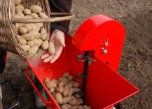 Sazeč brambor SB-40 při práci