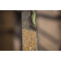 Obrázek k výrobku 77699 - Scheppach Ocelový drátěný kartáč pro MRS 1300