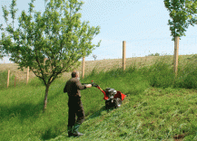 Lištová sekačka LSE-120 při práci