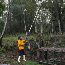 Obrázek k výrobku 26595 - Silky Hayauchi 4900-6.5 - teleskopická pila