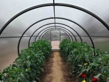 Obrázek k výrobku 92455 - skleník LANITPLAST DODO 300 3x4 m PC 4 mm černý LG4355