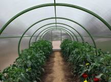 Obrázek k výrobku 92452 - skleník LANITPLAST DODO 300 3x4 m PC 4 mm zelený LG4352