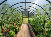 Obrázek k výrobku 92457 - skleník LANITPLAST DODO 300 3x4 m PC 8 mm černý LG4357