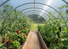 Obrázek k výrobku 92451 - skleník LANITPLAST DODO 300 3x4 m PC 8 mm šedý LG4348