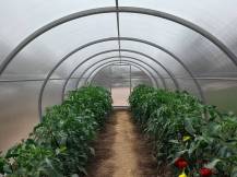 Obrázek k výrobku 92451 - skleník LANITPLAST DODO 300 3x4 m PC 8 mm šedý LG4348