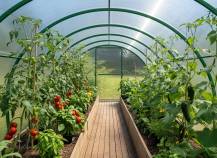 Obrázek k výrobku 92454 - skleník LANITPLAST DODO 300 3x4 m PC 8 mm zelený LG4354