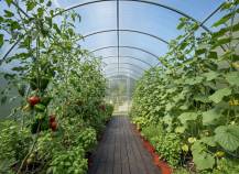 Obrázek k výrobku 79754 - skleník LANITPLAST MARCUS 3x4 m PC 4 mm LG2915