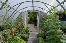 Obrázek k výrobku 79567 - skleník LANITPLAST TIBERUS 3x8 m PC 8 mm LG2872