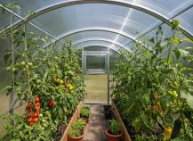 Obrázek k výrobku 90869 - skleník VITAVIA BOHEMY 24000 PC 4 mm LG4180