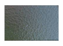 Obrázek k výrobku 42107 - skleník VITAVIA IDA 1300 matné sklo 4 mm zelený