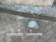 Obrázek k výrobku 41899 - skleník VITAVIA SIRIUS čiré sklo 3 mm stříbrný