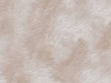 Obrázek k výrobku 81240 - Škrabadlo pro kočky KERBL MATTERHORN, sada nástěnných pater, béžová, 6 ks