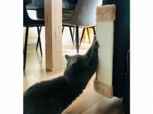 Obrázek k výrobku 81468 - Škrabadlo pro kočky KERBL, rohové 49x23cm