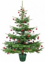 Obrázek k výrobku 77689 - Stojan na vánoční stromek Planet 2