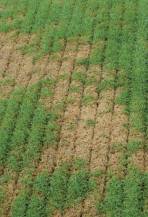 Obrázek k výrobku 9713 - Tažený vertikutátor JU 949