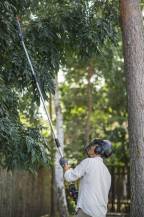 Obrázek k výrobku 82254 - Teleskopická řetězová pila CRAMER 48PS