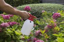 Obrázek k výrobku 16052 - Tlakový postřikovač 2L