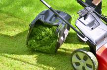 Změněná velikost IMG_6892