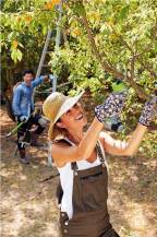 Obrázek k výrobku 73633 - VERDEMAX AKU nůžky FE16