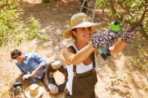 Obrázek k výrobku 73633 - VERDEMAX AKU nůžky FE16