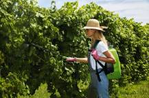 Obrázek k výrobku 69434 - VERDEMAX AKU postřikovač FUTURA 16