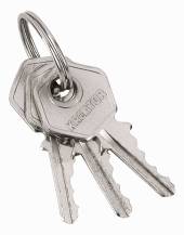 Obrázek k výrobku 15661 - Visací zámek 25mm