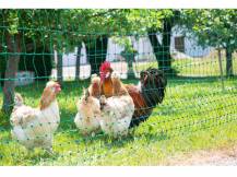 Obrázek k výrobku 81081 - Vodivá síť pro drůbež KERBL 106 cm x 50 m / 2 hroty