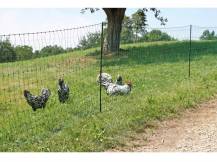 Obrázek k výrobku 81081 - Vodivá síť pro drůbež KERBL 106 cm x 50 m / 2 hroty