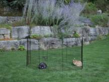 Obrázek k výrobku 81053 - Výběh pro drůbež, králíky a štěňata osmistěnný KERBL 57x78 cm