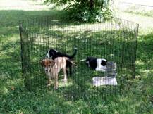 Obrázek k výrobku 81053 - Výběh pro drůbež, králíky a štěňata osmistěnný KERBL 57x78 cm